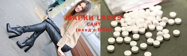 ПСИЛОЦИБИНОВЫЕ ГРИБЫ Вязьма